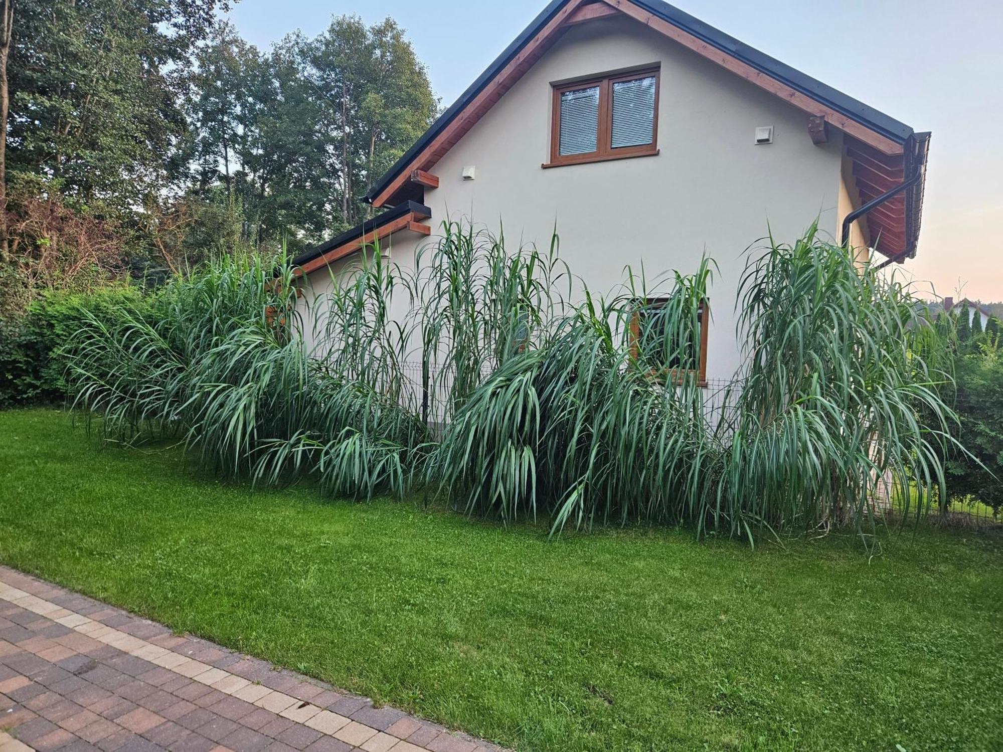 Osada Cztery Pory Roku - Dom Jesien Villa Kopalino Bagian luar foto